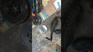 Chevy Cruze crazy noise in clutch