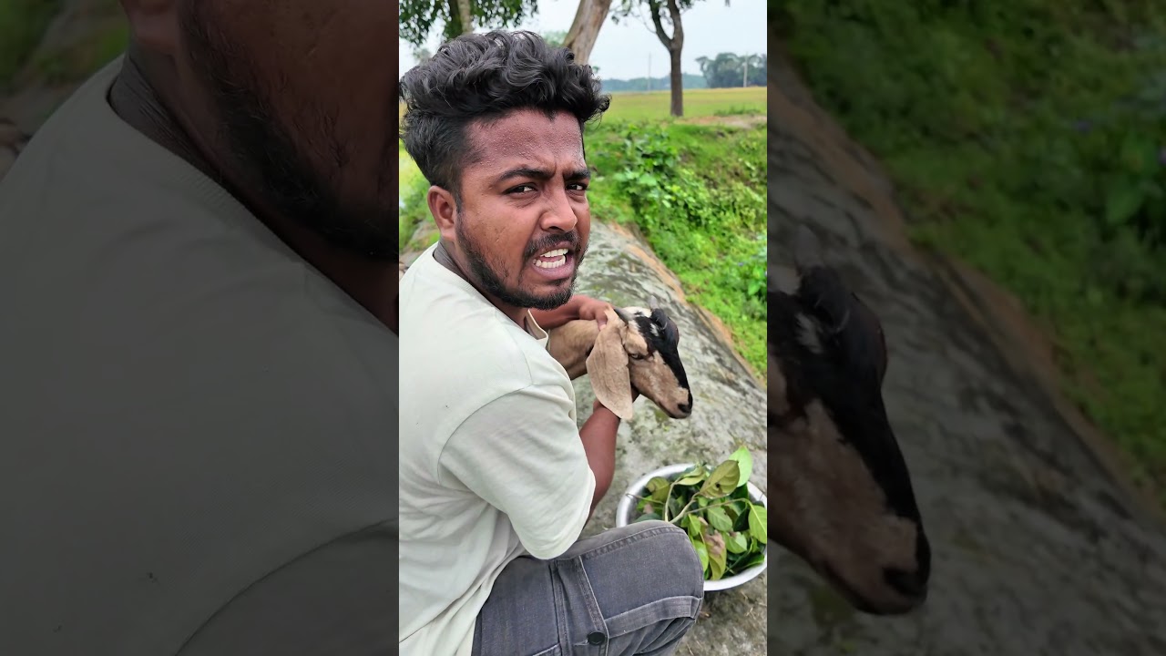 Wait for End 😂 #trending #reels #viral #foryou #Reels #funny