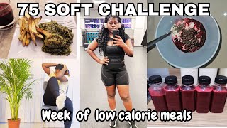WOMEN 75 SOFT CHALLENGE WEEK 9 |  EXERCISES  AT HOME WORKOUT | TOP 10 RECIPES WEIGHT LOSS IDEAS screenshot 4