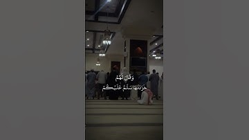 قرآن كريم بصوت جميل❤️🥺/سورة الزمر🌹🌹