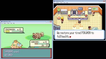 Pokemon Splitscreen Ruby/Sapphire - Ep. 2