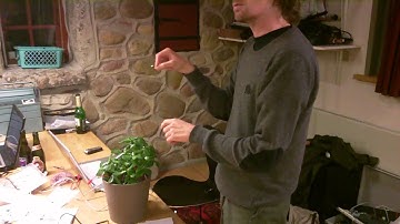 6 - Arduino project - "How the Frankenstein music playing plant actually works"