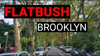 Walking Nyc - Exploring Flatbush Brooklyn Nyc