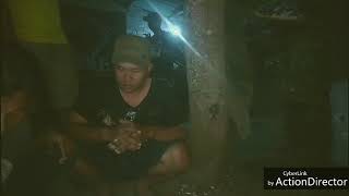 Download Lagu Hasil berburu ayam hutan MP3