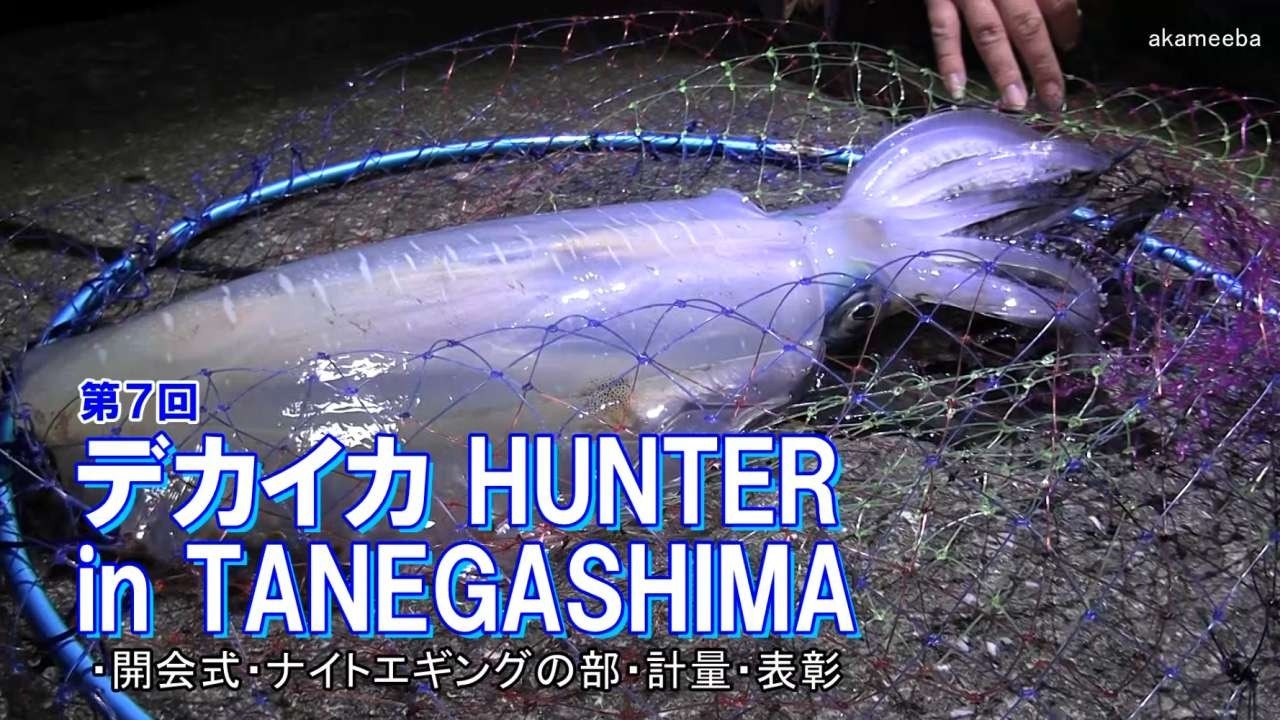 種子島のイベント：第7回デカイカ HUNTER in TANEGASHIMA 開会式