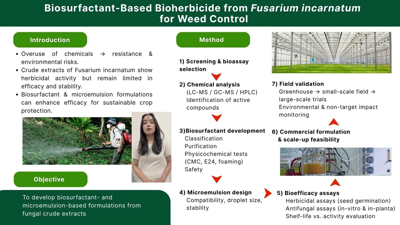 Biosurfactant-based bioherbicide from Fusarium incarnatum for weed control