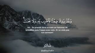 Sourate Sad (41-50) | Umar Sildinskiy سورة ص