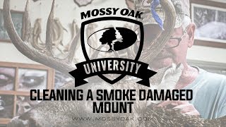 Cleaning a Smoke Damaged Mount