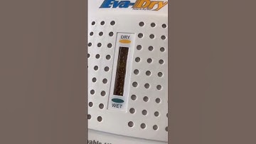 Best Way to Eliminate Moisture from Any Room or Closet #shorts