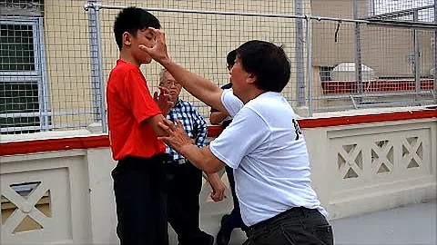 Effective Hung Gar Techniques: Grandmaster Chiu Ch...