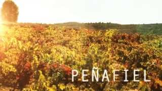 DESCUBRE EL CORAZÓN DE LA RIBERA DEL DUERO