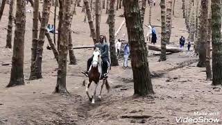 Horse Riding Slow Motion Perfect Goosebump Kodaikannal