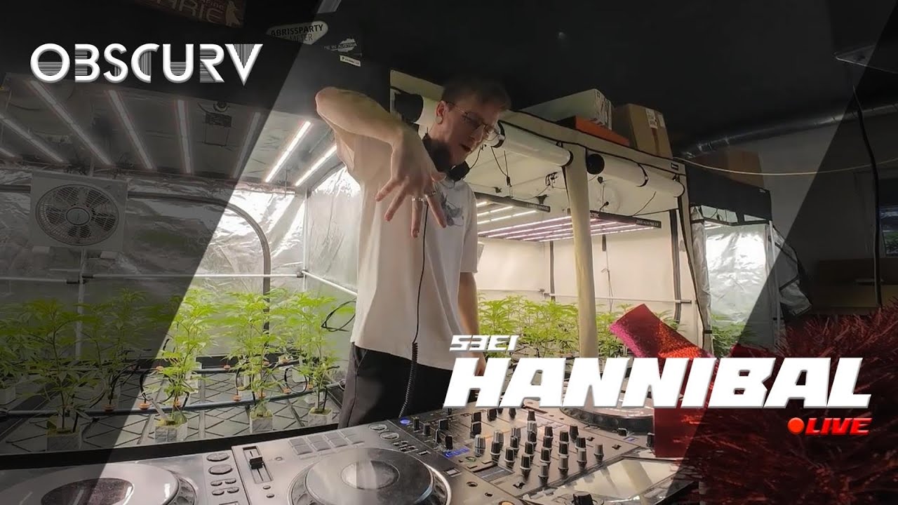 OBSCURV X MR SMART POP-UP SET #1 HANNIBAL