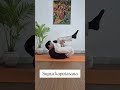 Manage Back Pain with yoga🧘♀️💗 #viralvideo #motivation #yogae #backpain #likeandsubscribe