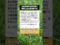 保育園拒否の息子を夫に託したら…帰宅後の光景がありえない #子育てあるある #神パパ