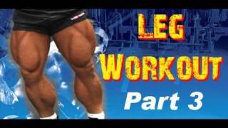 Complete LEG Workout Routine at the GYM