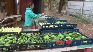 Farm to school: APS recognized for helping local farmers bring produce to schools