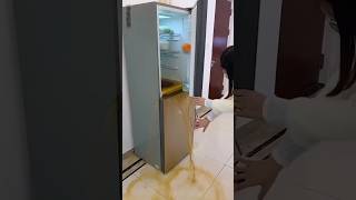 Survival Skills Simple And Useful