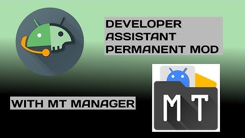 DEVELOPER ASSISTANT V1.2.2 PERMANENT MOD HAX WITH MT MANAGER