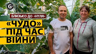 Подружжя фермерів відкрило магазин органічної агропродукції у прифронтовому місті на Харківщині