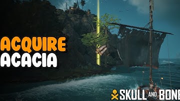 How to Get Acacia in Skull and Bones