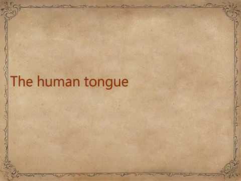 Facts about The TONGUE - YouTube