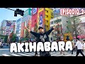 "EL PARAISO DEL COLECCIONISTA" AKIHABARA JAPÓN TOKIO CON MADHUNTER