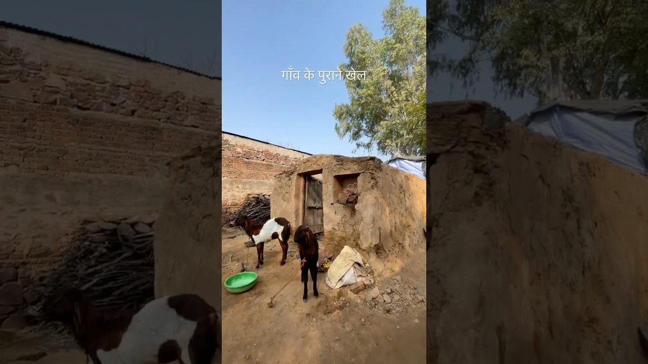 राजस्थान 😍 #rajasthan #youtubeshorts #shorts #life #gaming #desi #happy #culture #village #gaon