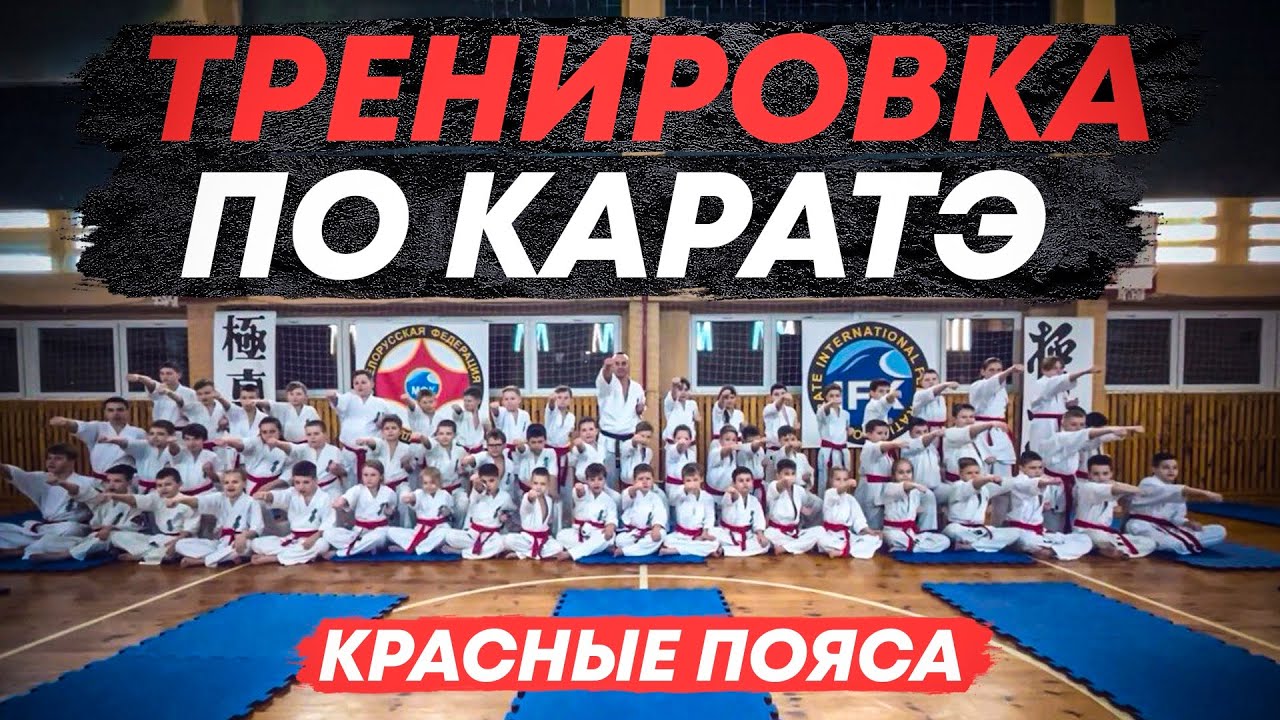 Как тренируются каратисты с красным поясом! Тренировки по каратэ в Бресте