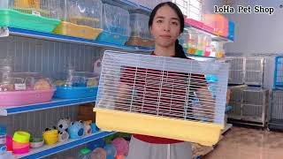 Thử thách cầm 500k mua vật dụng cho chuột Hamster tại LoHa Pet Shop