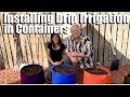 Setting up Containers for Planting, How to Install Container Drip Irrigation/Spring Garden Series #4