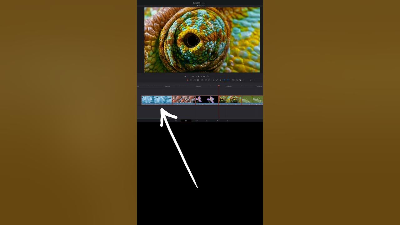 quickly-change-clip-duration-for-multiple-clips-davinci-resolve-youtube