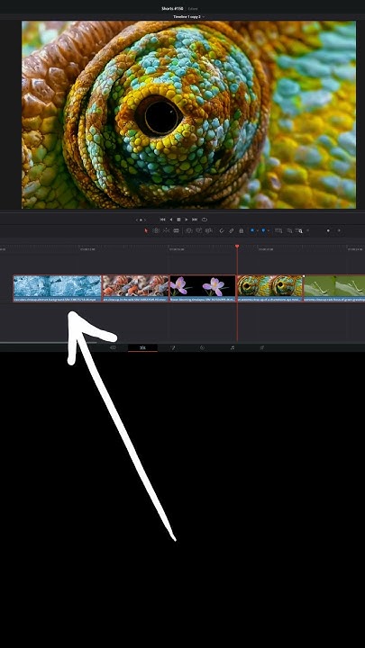 quickly-change-clip-duration-for-multiple-clips-davinci-resolve-youtube
