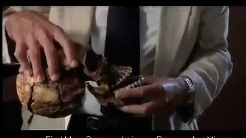 The Complexity of the Brain Documentary - Brain Videos