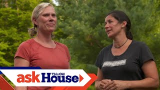 How to Create a Secret Garden | Ask This Old House
