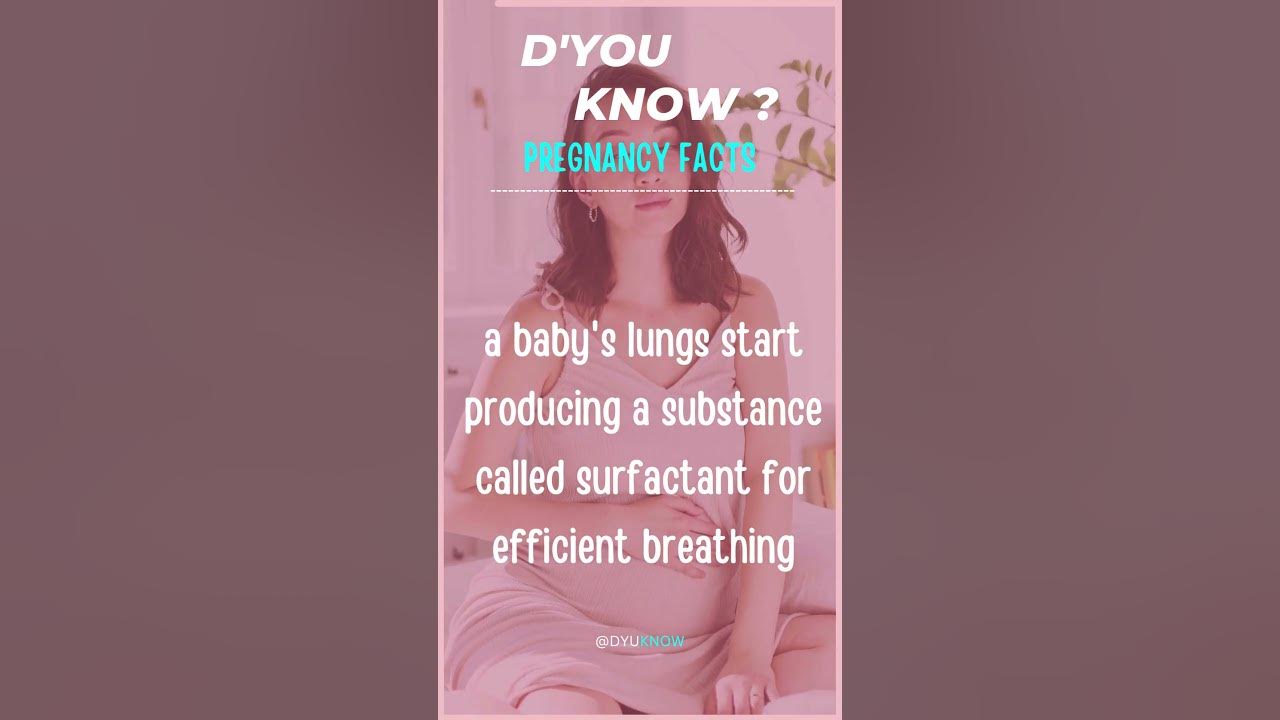this-is-very-important-development-of-baby-during-pregnancy-youtube