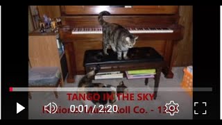 THE TANGO IN THE SKY  -   Master Record Piano Roll -  1345