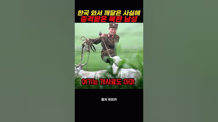 10년 북한 군생활 남성이 한국에서 충격받은 이유