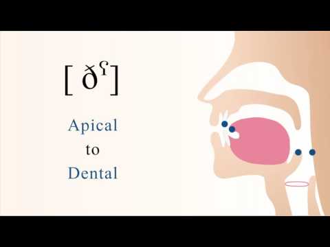 [ ðˁ ] voiced pharyngealized apical dental non sibilant fricative