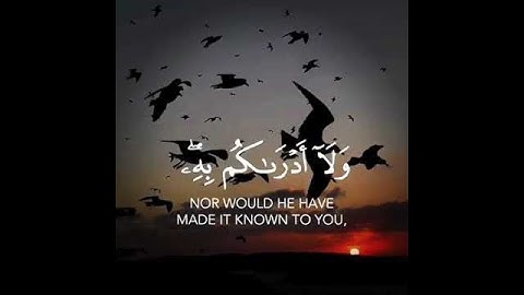 حالات واتس آب دينية - حالات انستقرام - تلاوات هادئة - قرآن - Quran