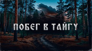 видео: ПОБЕГ В ТАЙГУ! Страшные Истории На Ночь! картинка: ПОБЕГ В ТАЙГУ! Страшные Истории На Ночь!