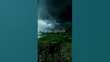 رَبِّ اشْرَحْ لِي صَدْرِي |😴 #شريف_مصطفى #تلاوة_خاشعة #راحة_نفسية #قرآن #تابعوني #اكسبلور #لايك