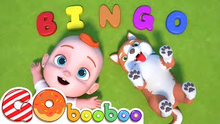 Bingo Was His Name-O | My Dog Song | GoBooBoo Kids Songs &amp; Nursery Rhymes