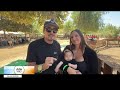Live Oak Canyon Farm pumpkin patch opens in Redlands, giving families a start on holiday traditions