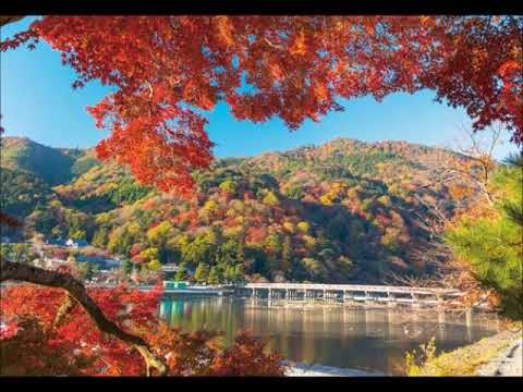 渡月橋 ～ 君 想ふ  ／ 倉木麻衣　  covered by 嬢爺