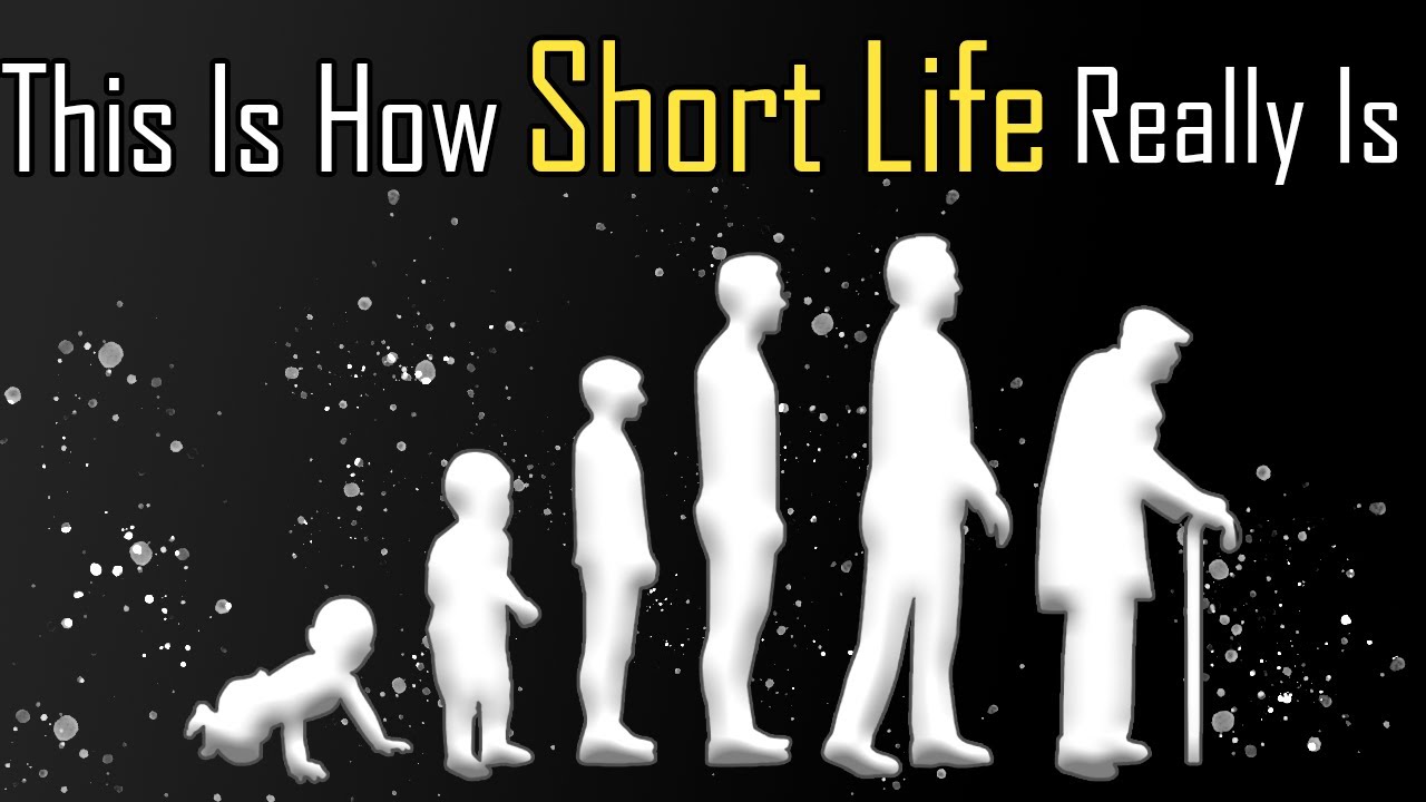 Do you really life. Short Life. Start Living Life. Life is short. Art is long Life is short.