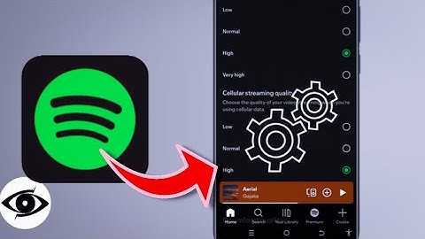 The BEST Settings for your Spotify (Lossless Audio Spotify) 