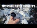 Flying DJI Mavic Mini In Winter and Cold | Tips For Safe Winter Drone Flights