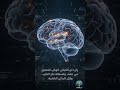 سرعة دماغك ستفاجئك! 🧠⚡