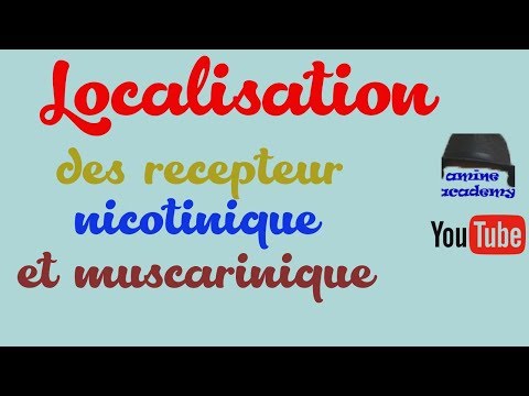 Vidéo: Différence Entre Les Récepteurs Nicotiniques Et Muscariniques